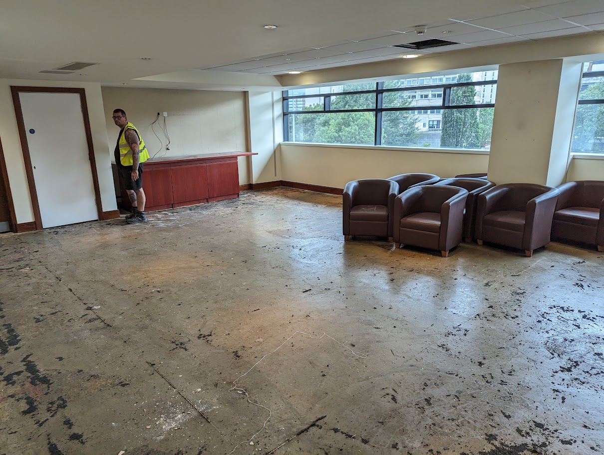 Carpet Removal image